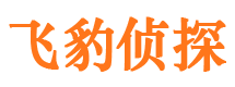 阜阳找人公司